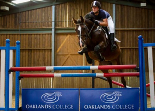 Oakland College Equestrian Centre