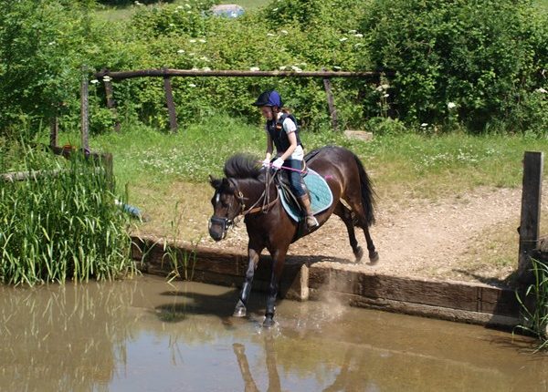 Wickstead Farm Equestrian Centre